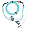 MPO/MTP ve Montaja Hazır Çoklu Fiber Bağlantılar 16 Belden MPO Trunks