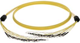 Fiber Optik Patch Cord 52 KLOTZ 8x ST breakout kablo, 9/125 OS2 (FO8BSUU)