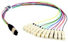 Telegärtner Fiber Optic Product Families 40 Telegärtner MPO/MTP® Harness 0.9 mm